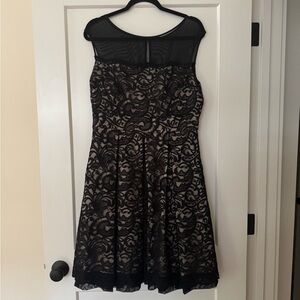 Eliza J Black and Tan Fit and Flare Mini Dress